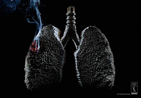 Anti-Smoking - ADESF_A typical smoker's lungs.